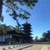 レッドデータガールの神社へ①