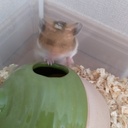 減量