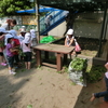今日の幼稚園は・・