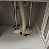 【DIY】洗面所の排水臭をとめよ！