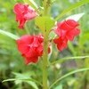 雨模様の、「土用の丑の日」。