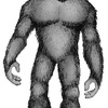 UMA未確認生物スイング　ビッグフット