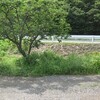 草刈りサタデー