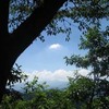 勝俣部長の「高尾登山と健康体質作り」７０６････罪は　重いぞ