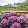 妊娠中の夏のカビ予防：安心と「きれい」を育む、家族みんなの空間づくり