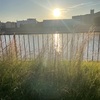 流動