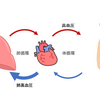 肺高血圧症に関する雑学