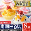 🍨🧸南国白くまDX詰め合わせセット🧸🍨