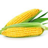 6 Amazing Corn Facts You Didn’t Knew Before