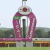 第3回東京競馬が始まります