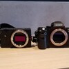 【SIGMA fp体験会】禁断のα7IIと比較。αユーザーには刺激的なサイズ