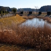 松山下公園の調整池（千葉県印西）