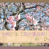 「令和」と「導引」のひみつ〜明日は祝日令和天皇誕生日〜