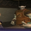 FF11　ある復帰勢の1日