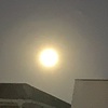 ●朝の月は満月でした。