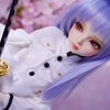 MYOU DOLL Delia 隊士ver. Limited お迎えレポ