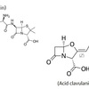 Tính chất dược lý và Hình thức hoạt động của Amoxicillin & Acid clavulanic