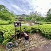 北竜台公園 しょうぶ池（茨城県龍ケ崎）