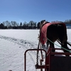 【北海道】麦音冬あそびパーク2024！コマちゃんの馬そりカフェに行ってきました♪