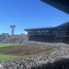 2024年甲子園で注目を集めたドラフト候補投手たち