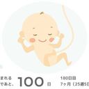 プレミニマリストの捨て日記　～妊婦の100日間ミニマリスト挑戦～