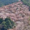 夏のような陽気