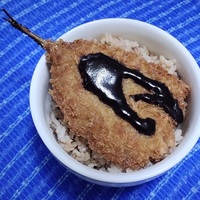 【12/28昼】境港産アジフライなお総菜残り、今年の家計簿を見直してたんだね：P