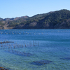 透き通る海