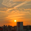 休日の夕日