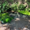 【名水の秘境】男池湧水群・ピンクに染まる平治岳 登山①