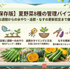 【保存版】夏野菜8種・定植1週間からの管理バイブル 水やり・追肥スケジュールとなすの更新剪定