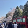 ビジネス街の主要道、内堀通りが平日よりも混んでいる桜渋滞現象を、あまり混んでいない国立劇場から撮る