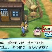 第7世代乱数調整 カテゴリーの記事一覧 ミルクの日記