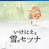 『いけにえと雪のセツナ』（Tokyo RPG Factory/スクウェア・エニックス）