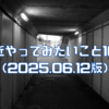 最近やってみたいこと10個（2025.06.12版）