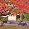 Autumn Ride
