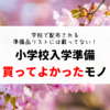 【意外とある！】小学校の入学準備、買ってよかった＆あると便利なグッズ（用品・文房具・家電など）