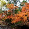 島崎の釣耕園(ちょうこうえん)の紅葉 