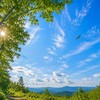 ドラマのセリフにモヤッとした私が、無意識の「壁」を知り、ブログへの深層心理に気づいた日