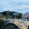 水間寺の桜（完）