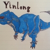 Yinlong