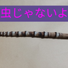 金継ぎ豆知識。エコな道具×人にも優しい薬草