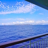 小笠原海運「おがさわら丸」スイート乗船記（特等専用デッキ編）
