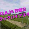 2022,6,26 日曜日 トラックバイアス予想 (東京競馬場、阪神競馬場、函館競馬場)