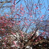 2024-01-27(Sat)