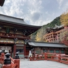【祐徳稲荷神社】初詣は渋滞覚悟でお越しください♪