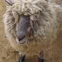 summerbirth’s blog