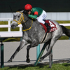 競馬初心者必見☆馬券予想🔥〜フィリーズレビュー〜サブライムアンセムの全妹に期待！