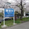 桜・２０２４🌸　短歌　隅田公園