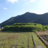 盛土山古墳　香川県仲多度郡多度津町奥白方